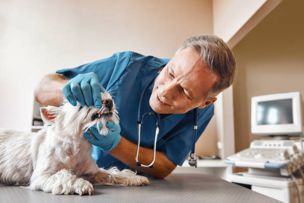 Best Emergency Root Canal Treatment in Macon, MS